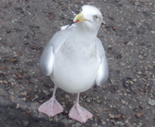 P1070030.JPG